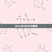 2021年2月3日日属相，2021，2月3号属什么？