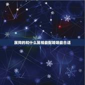 属狗的和什么属相最配婚姻最合适，属狗男和什么属相的女性结婚最合适？