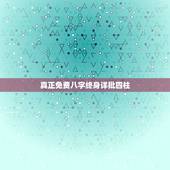 真正免费八字终身详批四柱，免费紫微斗数命盘详解