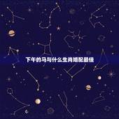 下午的马与什么生肖婚配最佳，属马和什么婚配最好