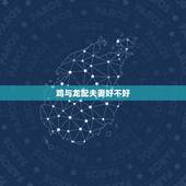 鸡与龙配夫妻好不好，属龙人做什么生意最旺