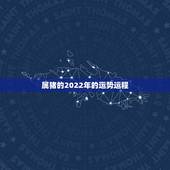 属猪的2022年的运势运程，2022年属猪人的全年运势