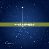 99年属兔哪年结婚好，99年属兔的姻缘在哪年