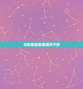 马和老鼠配婚姻好不好，马鼠相冲久必合是什么意思