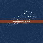 27岁属于什么生肖呢，今天27岁是属什么生肖