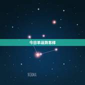 今日羊运势怎样，属羊今年运程怎样