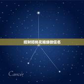 招财招桃花姻缘微信名，女人用什么微信名旺财旺姻缘