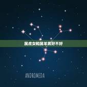 属虎女和属羊男好不好，属虎女和属羊男合适吗