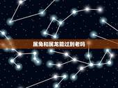 属兔和属龙能过到老吗，属龙为啥不能和属兔在一起