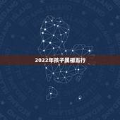 2022年孩子属相五行，2021年至2030年是什么生肖年