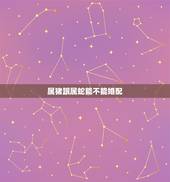 属猪跟属蛇能不能婚配，属猪和属蛇婚姻相配吗