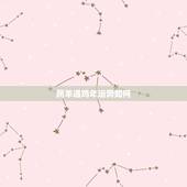 属羊遇鸡年运势如何，属羊人与鸡年运气怎样