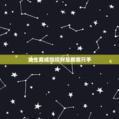 女生戴戒指招财是戴哪只手，戒指戴在哪只手上？有没有什么讲究？