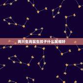 两只生肖鼠生孩子什么属相好，属鼠的夫妻生一个什么属象的孩子最好？