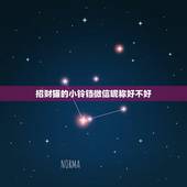 招财猫的小铃铛微信昵称好不好，好运微信名昵称有哪些？