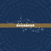 猴年生肖猴的运势，十二生肖在2016年猴年是什么命