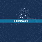 属相鼠和马的婚配，属鼠的和属马的婚姻相配吗