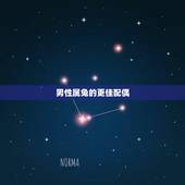 男性属兔的更佳配偶，六三年属兔男更佳配偶
