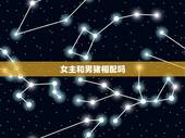女主和男猪相配吗，男主和女猪相配吗婚姻