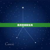 属虎的绝配生肖，属龙婚配哪个属相更好命
