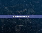 属猪一生运势及运程，属猪农历十二月二十七的一生运气