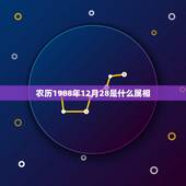 农历1988年12月28是什么属相，农历1988年12月28日立春之后