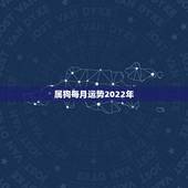 属狗每月运势2022年，属狗2023年运势及运程每月运程