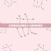 生肖猴和鼠结婚生什么属相的宝宝，女的属老鼠男的属猴生什么属相的孩子好