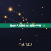属虎的人和属蛇的人结婚好不好，属虎与属蛇结婚合适
