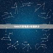 1000只草龟养3年赚多少，养中华草龟几年能有收入