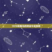 1978年属马的财运今后怎样，78年属马的今年财运如何