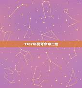 1987年属兔命中三劫 炉中火命的贵人是谁