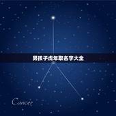 男孩子虎年取名字大全 属虎名字寓意好的字