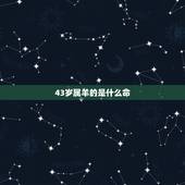 43岁属羊的是什么命，43岁属马什么命