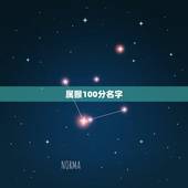 属猴100分名字，1980年属猴叫什么名字好