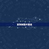 发财树图片壁纸，进门挂发财树的壁纸画好吗