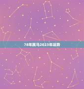 78年属马2023年运势，1978年属马2023年运势五月十九生日？