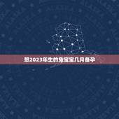 想2023年生的兔宝宝几月备孕，备孕注意事项