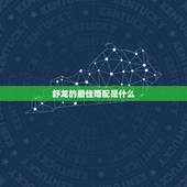舒龙的最佳婚配是什么，属龙男和什么属相最配