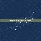 孩子的小名大全洋气2022，孩子小名大全老鼠
