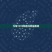 今年1978年的马财运怎样，1978年出生的人，今年运气如何