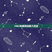 1982年属狗运程几月旺，1982年属狗每月运程