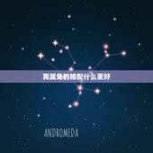 男属兔的婚配什么更好，属兔男更佳属相婚配表