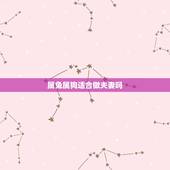 属兔属狗适合做夫妻吗，男属狗女属龙相克吗