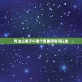 丙山壬兼子午哪个属相阴宅可以坐，丙山壬向兼午子风水宝地埋葬辛丑属相可以