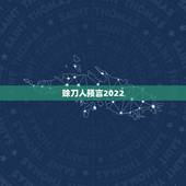 赊刀人预言2022，赊刀人预言大米价格