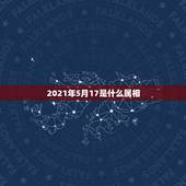 2021年5月17是什么属相，2021年什么命五行属性