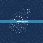 1986年虎运势，1986年属虎运程如何？