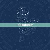七叶莲盆景图片，谁家有盆景七叶莲花照几张图片看看什么样的？