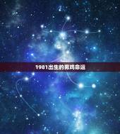 1981出生的男鸡命运，1981年属鸡人一生运程